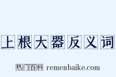 上根大器反义词是什么意思的图片
